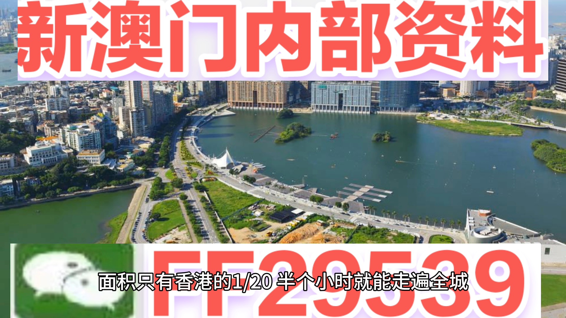 2025年新澳门天天开彩,全面解答解释落实_7i429.94.54